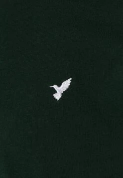 Pier One 5 Pack - Camiseta Básica - White/Ark Green/Blue -Pier One 19822f95d4c243b5a7cfa8d503e23581